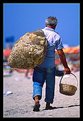 Picture Title - -Beach Work-