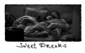 Picture Title - Sweet Dreams