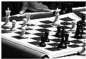 Picture Title - Your Move