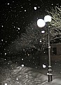 Picture Title - Snow