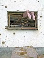 Picture Title - Window