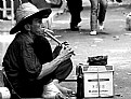 Picture Title - Street Musician