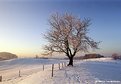 Picture Title - Winter