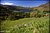 ullswater in the lake district