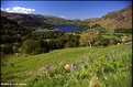 Picture Title - ullswater in the lake district