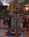 Picture Title - Die! Evil Zebra!!!