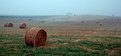 Picture Title - Misty Harvest