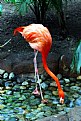 Picture Title - Long Stretch
