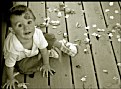 Picture Title - Confetti
