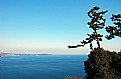 Picture Title - Looking Over the Ocean