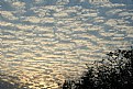 Picture Title - Ripples of sky