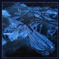 Picture Title - Icy Art