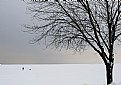 Picture Title - Seuls sur le lac