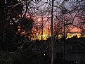 Picture Title - sunset through the trees