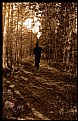 Picture Title - Runner