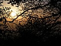 Picture Title - un tramonto dalla forestale