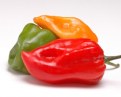 Picture Title - Hot Peppers