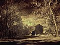 Picture Title - Florida cracker tobacco barn, 1850