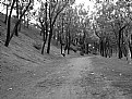 Picture Title - Relaxing in the park