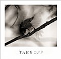 Picture Title - take off