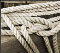 Picture Title - Knot