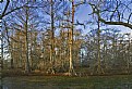 Picture Title - Lake Martin Landscape