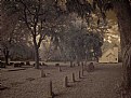 Picture Title - Florida cracker church, 1852