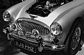 Picture Title - A Healey