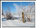 Picture Title - Lonely fence post