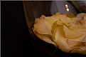 Picture Title - eustoma