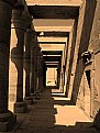 Picture Title - Ancient Shades