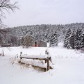 Picture Title - Winter Scene
