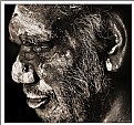 Picture Title - Tribal Elder