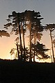 Picture Title - Sunrise thru Cypress Trees