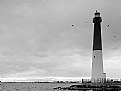 Picture Title - Lighthouse #01