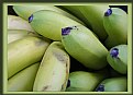 Picture Title - Green Bananas
