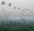 Picture Title - Winter A.M. in California