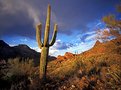 Picture Title - Apache Trail