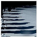 Picture Title - -walking shadows-