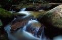 Picture Title - Reedy Cove Creek