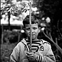 Picture Title - Portrait of a boy