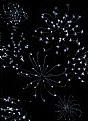 Picture Title - Seed Constellations