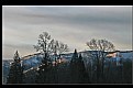 Picture Title - Morning Sun on a Snowy Hill