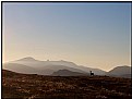 Picture Title - Monarch of the glen