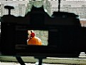 Picture Title - experiment 2
