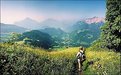 Picture Title - Untitled
