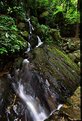 Picture Title - STREAM   ON  THE   MOUNTAIN