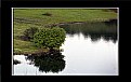 Picture Title - water mirror