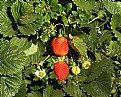 Picture Title - Beginning, Middle, End