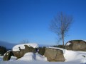 Picture Title - winter on the rocks
